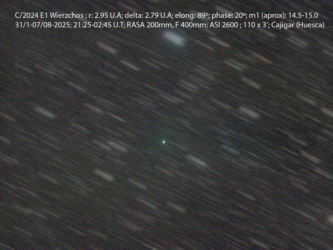 C2024E1_20250801_DID m