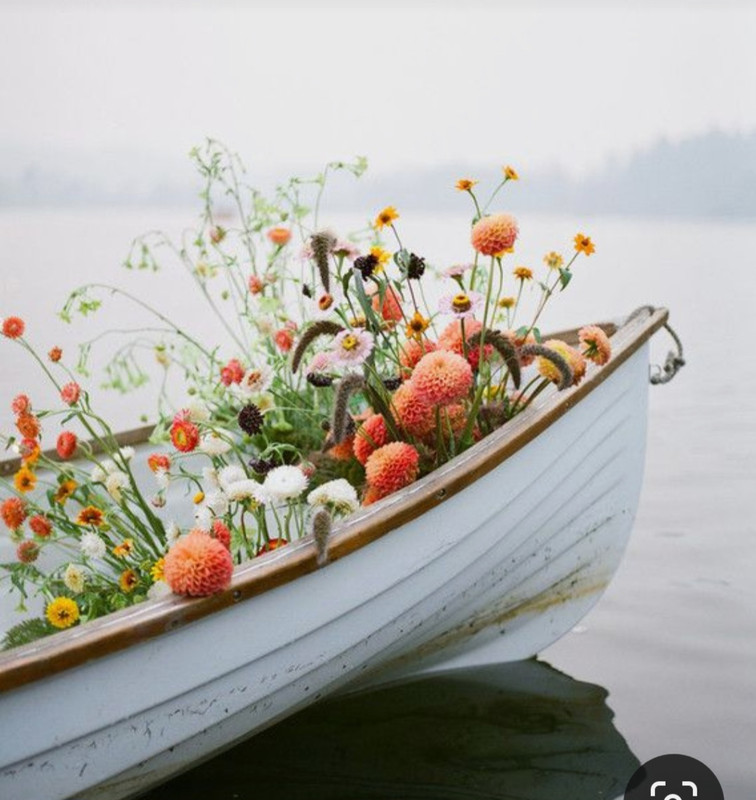 Screenshot_20230702_231008_Pinterest