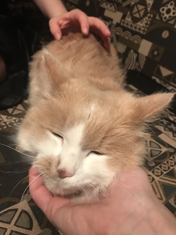 D3140856-221E-4AD6-B138-C33DD26EFFB1