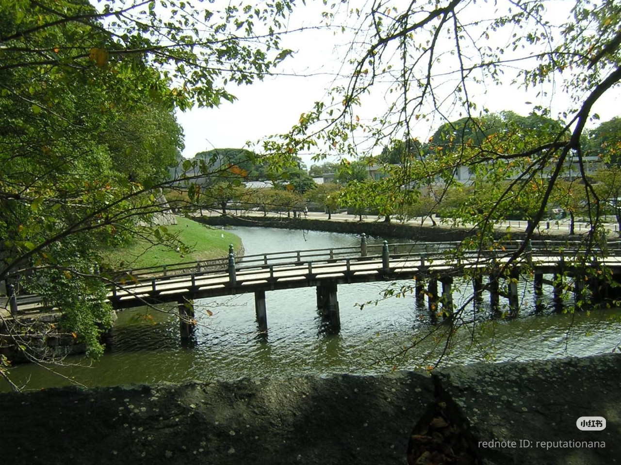 photo 23 2025 12 24 16 22 41