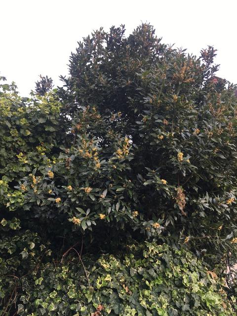 A9056E98-3EF2-4A4D-AD4C-372B3885900B