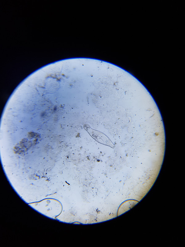 20190309_082430