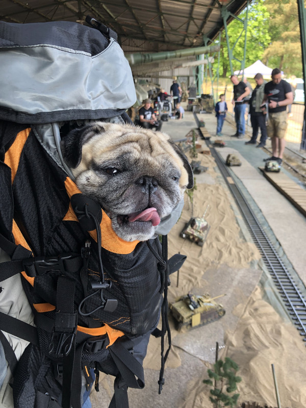 BD6ECE6D-C5AA-4EA0-9994-EED887C1E09B