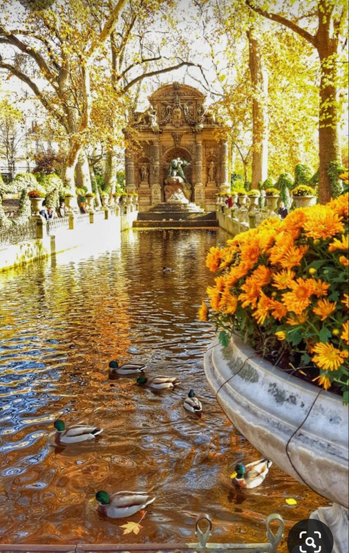 Screenshot_20231012_215257_Pinterest