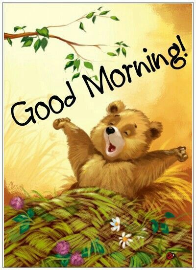 Good Morning, Good Afternoon, Good Evening, Good Night, Good Day!