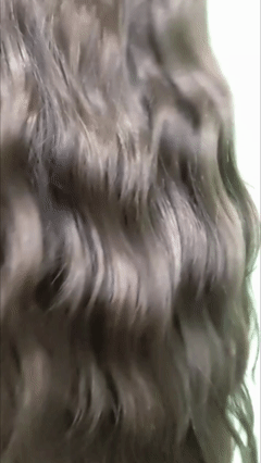 Опис GIF