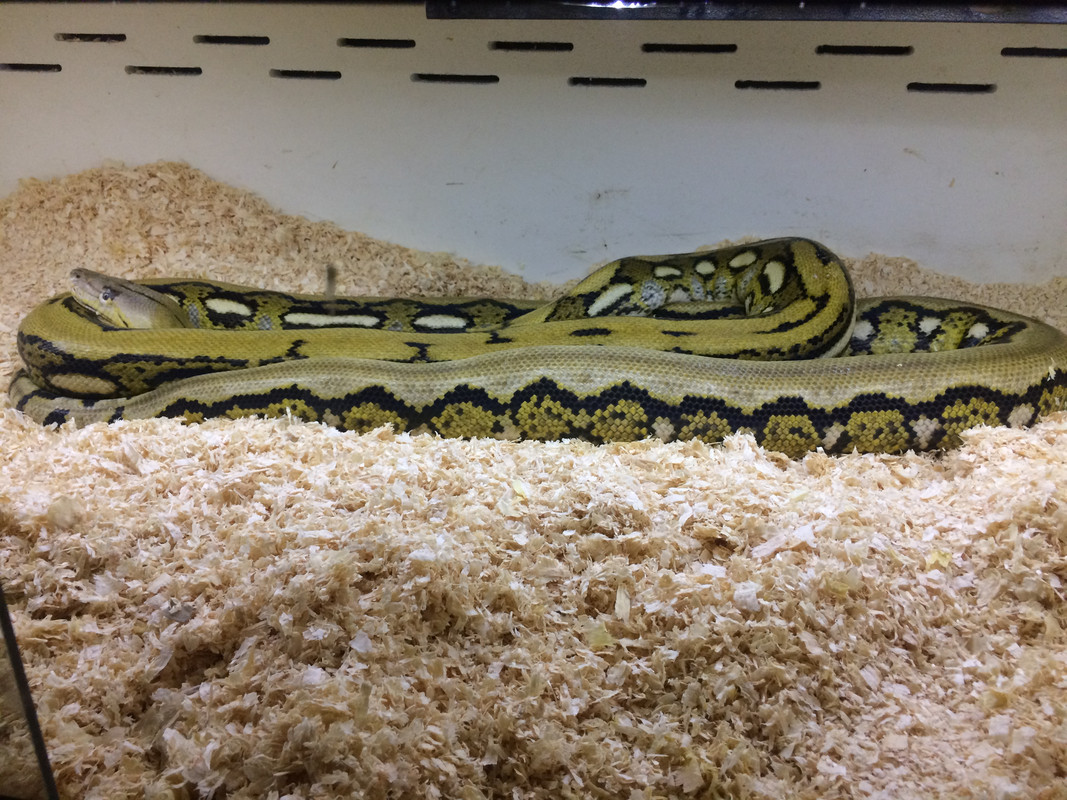 04911538-BB90-475A-ADC9-10A0259C4007