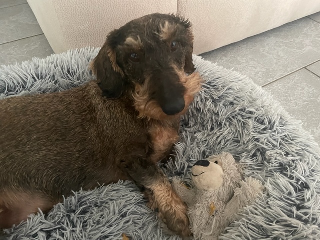 [Image: CD7-B76-D1-0245-4340-8432-CC1-DC0517-B85.jpg]