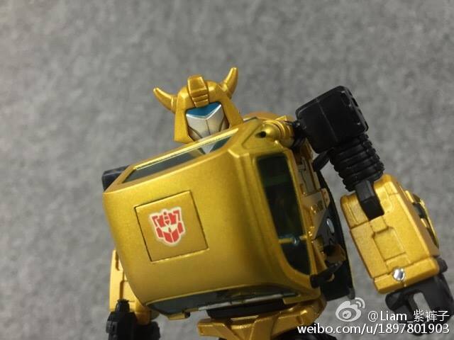 11817207_867468500006227_4769641737156894587_n