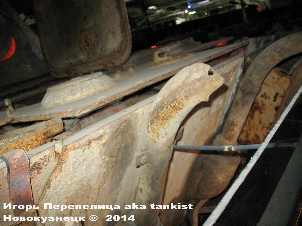 Panther_Sinsheim_068