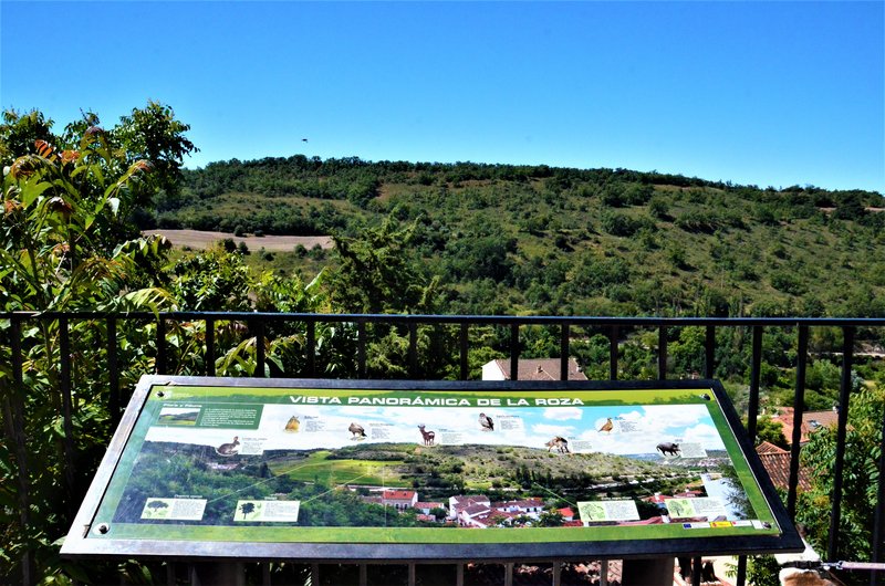 Madrid y sus pueblos-2000/2022 - Blogs of Spain - OLMEDA DE LAS FUENTES-5-6-2020 (5)