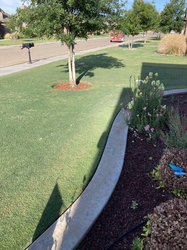 7041D23D-DBF4-4DE5-A993-C7FF847157E4