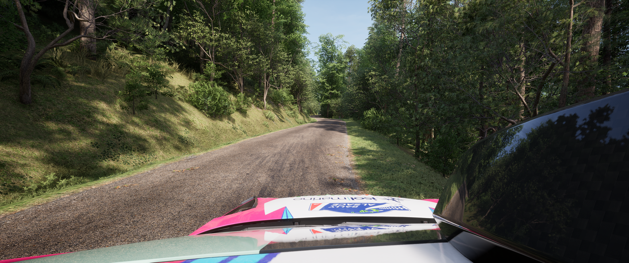 Assetto-Corsa-Rally-Screenshot-2026-05-0