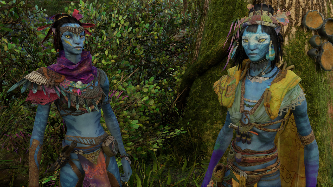 afop 2026 01 09 03 43 22 936