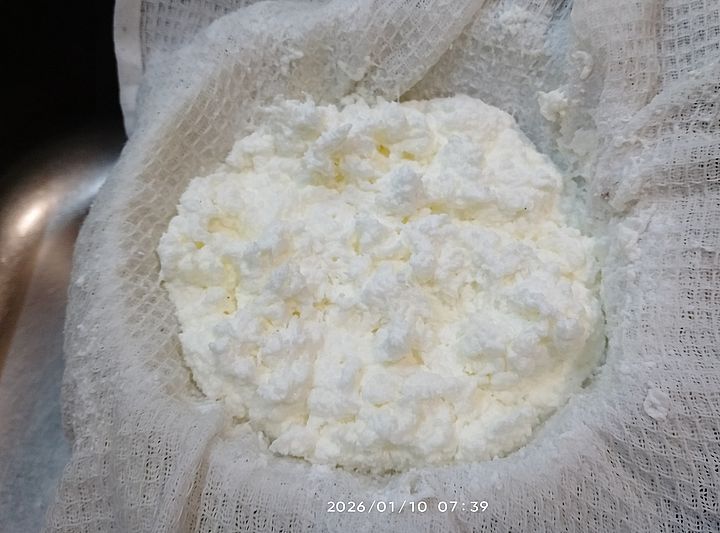 https://i.postimg.cc/tT3zFQ5N/tejn-turo2-20260110.jpg