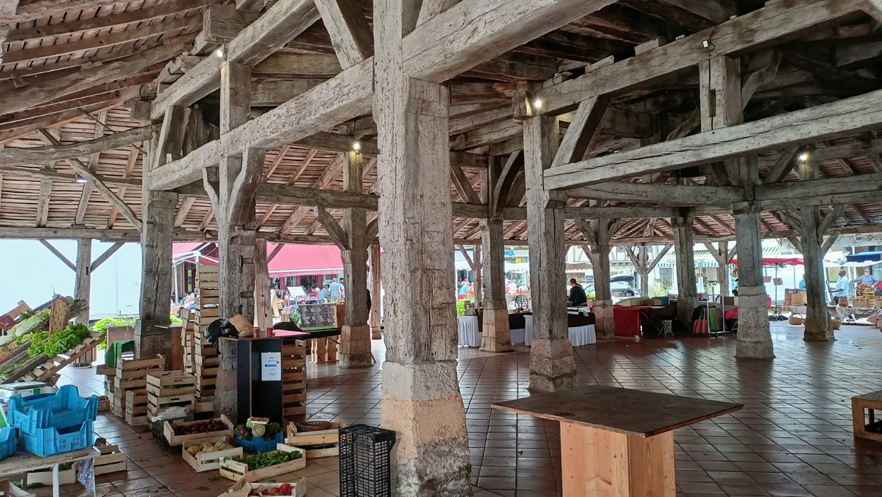 IMG20250830132644 (Large)