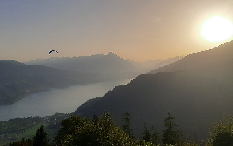 Suiza: nueve días en transporte público. - Blogs de Suiza - Dia 23. Interlaken: Harder Kulhn (14)