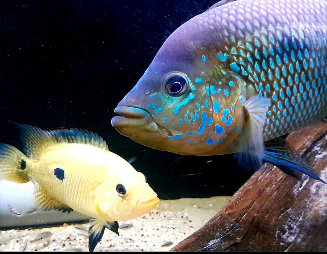 Screenshot 20251120 190816 Video Player