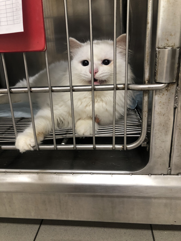 F9220A57-83C2-44D2-A6C9-EFEB6E6D9734