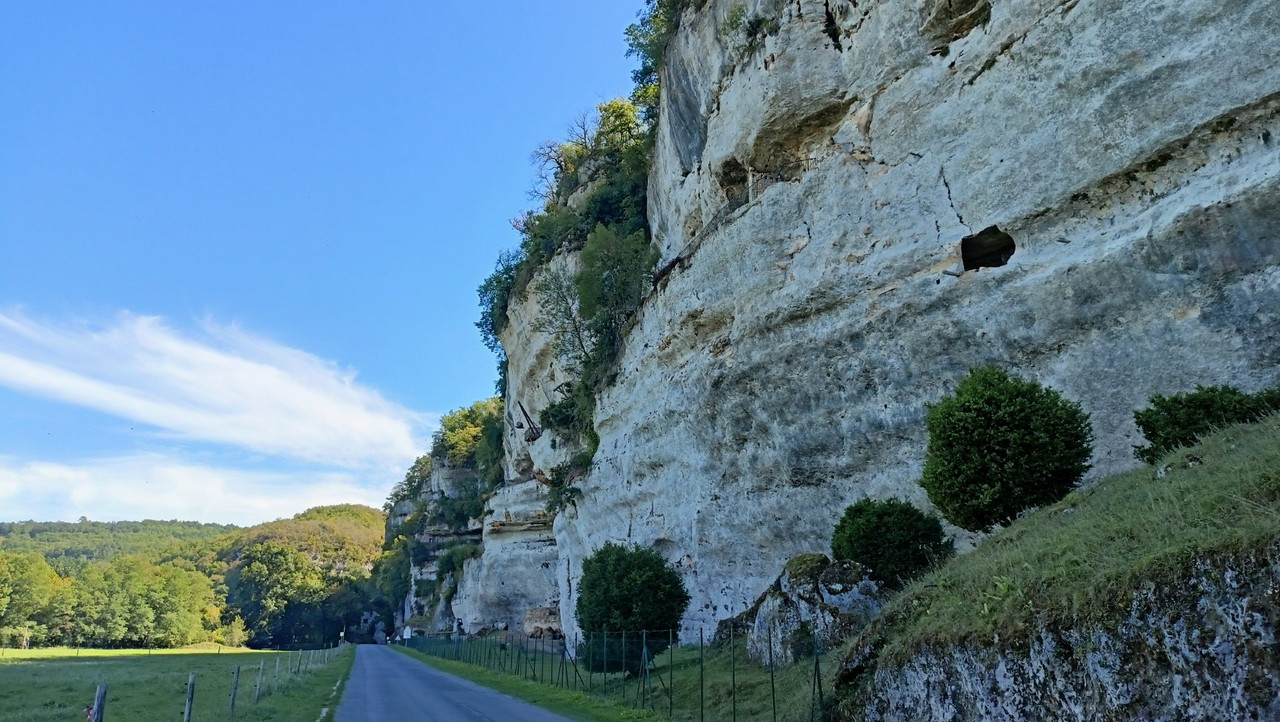 IMG20250903142313 (Large)