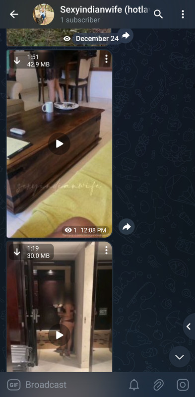 Screenshot_20241224_121329_Plus