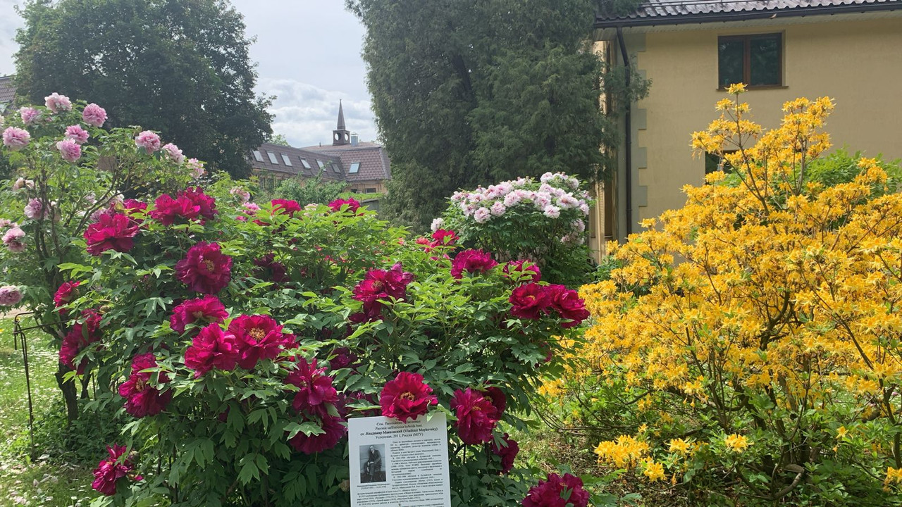 WhatsApp Image 2025-05-26 at 12.04.45