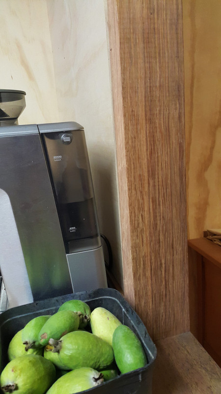 20210516_145101 (2) (Custom)