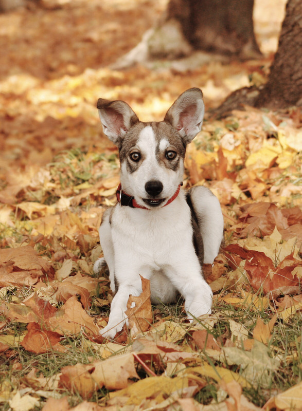 5015562C-8EEE-4EF2-BE44-02FCB57B8249