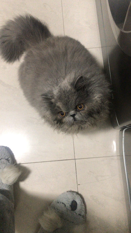 167D2F2B-0A0F-4766-A8C3-DCFEF848590C