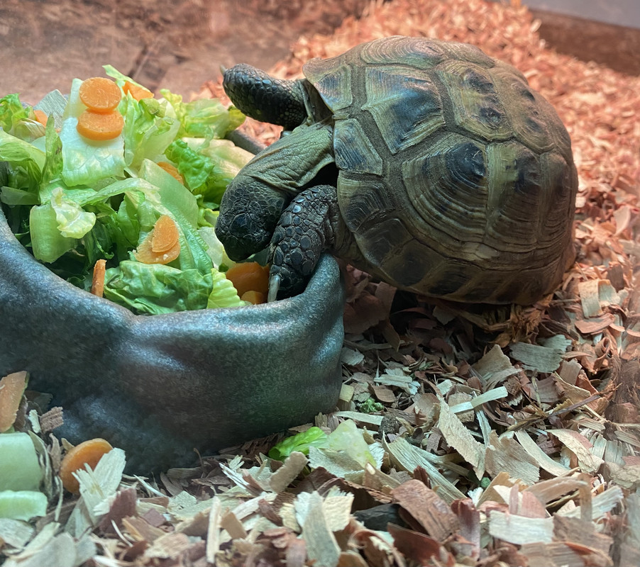 E9C3F507-49B2-4639-A272-9717BE8CAF36