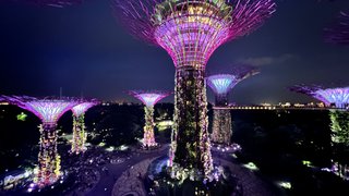 Indonesia, Singapur y Malasia 2022 - Blogs de Asia Sudeste - Día 12 y 13. Singapur (13)