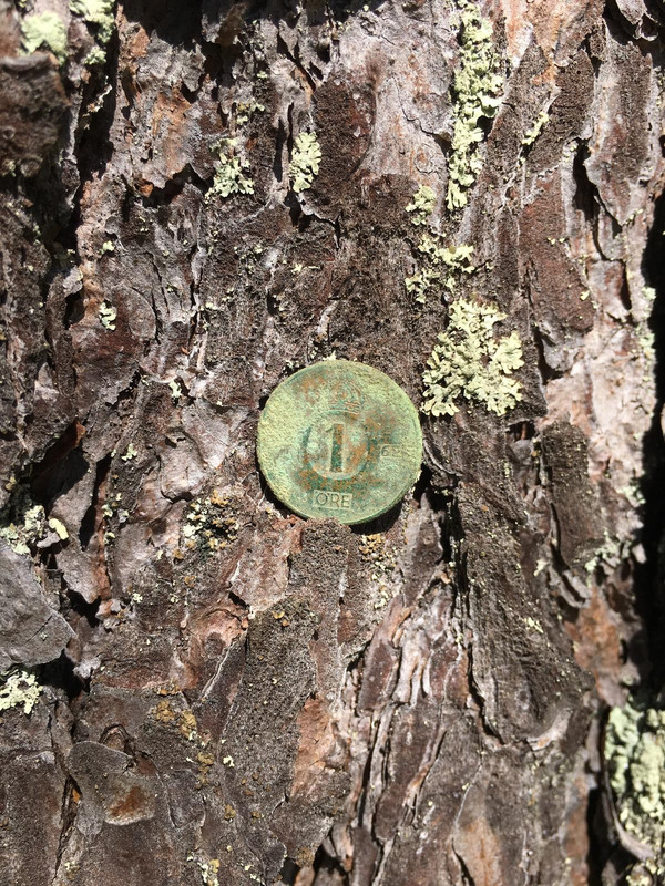 BDC64D2D-3CE1-4356-AA45-518067C34C97