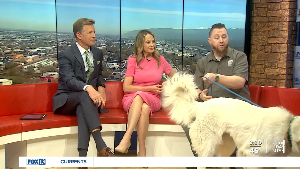 FOX13 News Good Day Utah 9AM_20240419_16001700.ts_snapshot_56.08.650