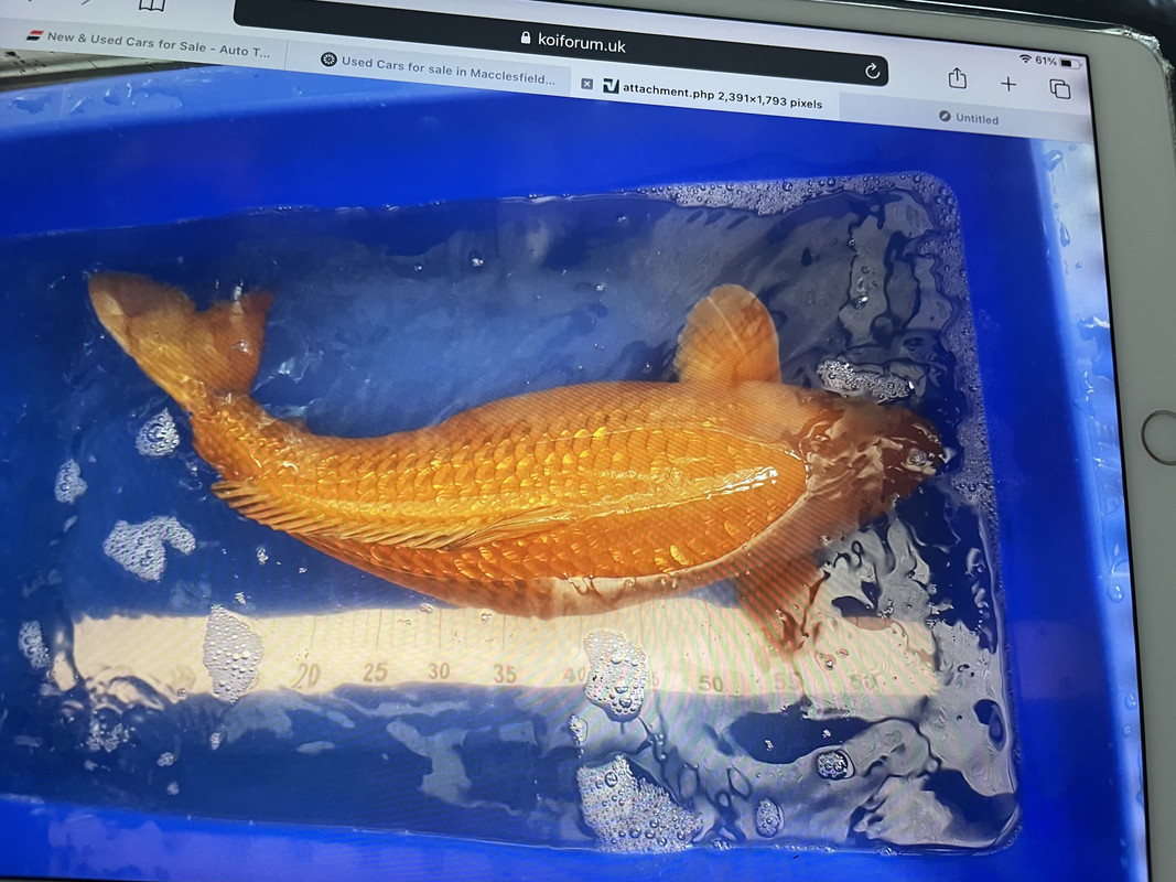 8E3BFB64-C34B-47D8-B45D-E97C9AD4D075