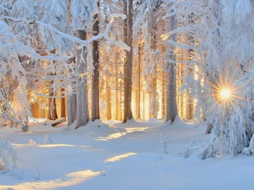 [Изображение: 2ed059591f280fb3a755c3bfa778c119.png]