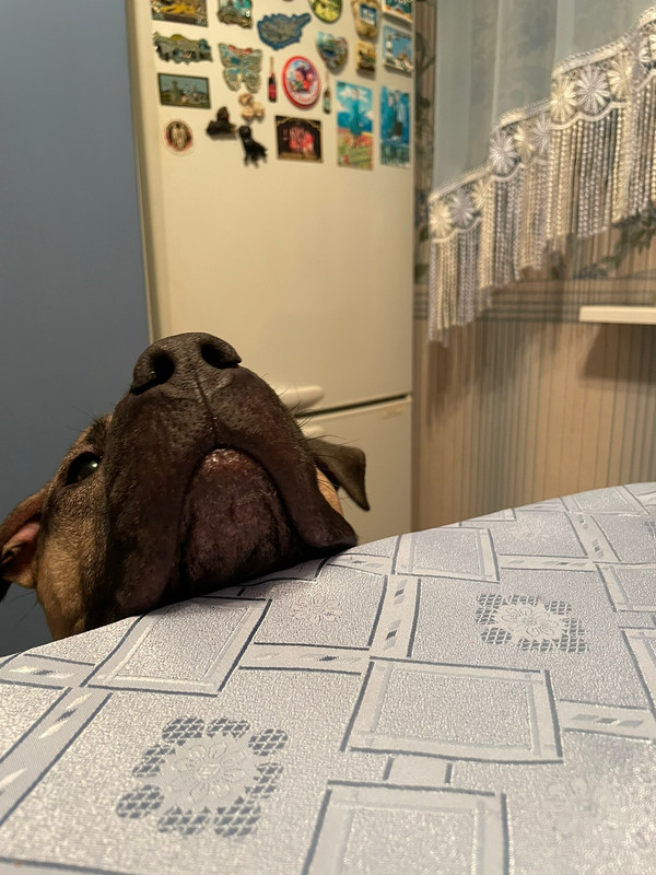 8CE0967F-5C7A-462E-86E7-F118B5727601