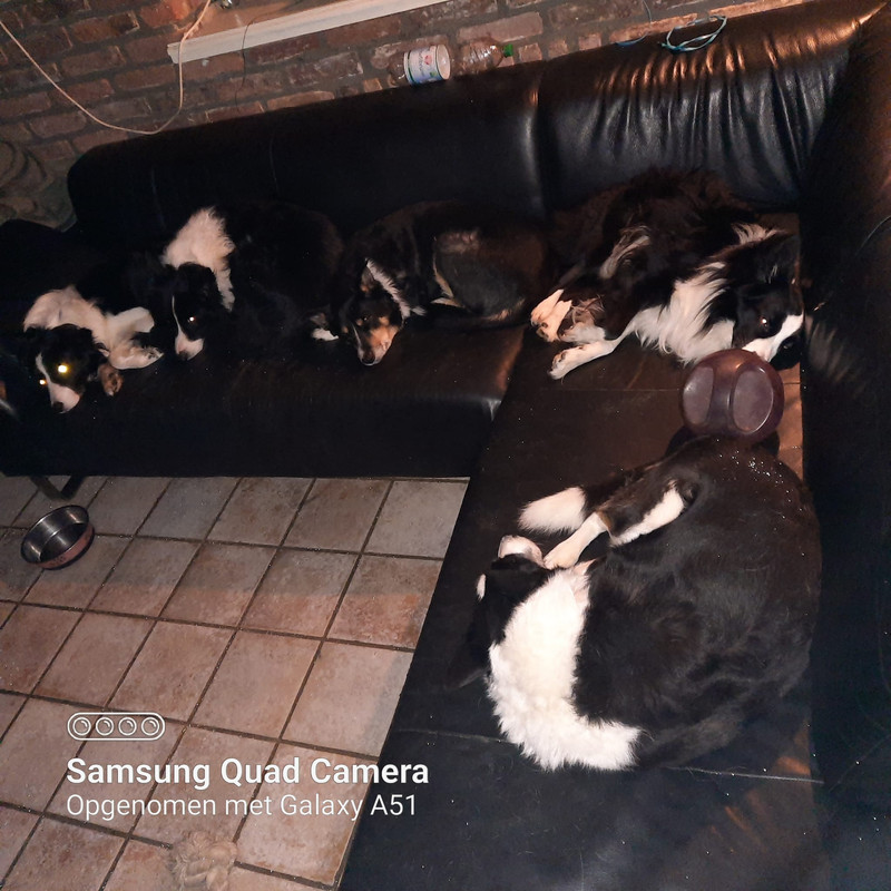 970B783E-59DF-43B1-80C3-5C33BF478B1C