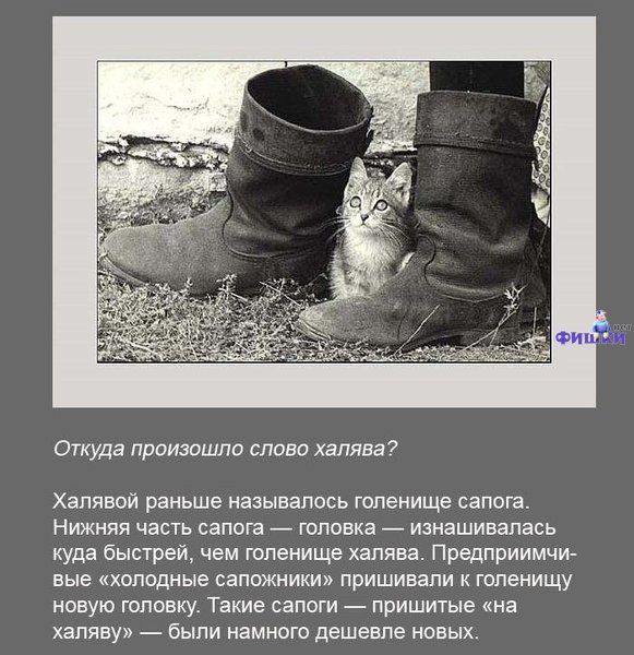 [Изображение: ba726f520798bde0951c09e85bbee4ec.jpg]