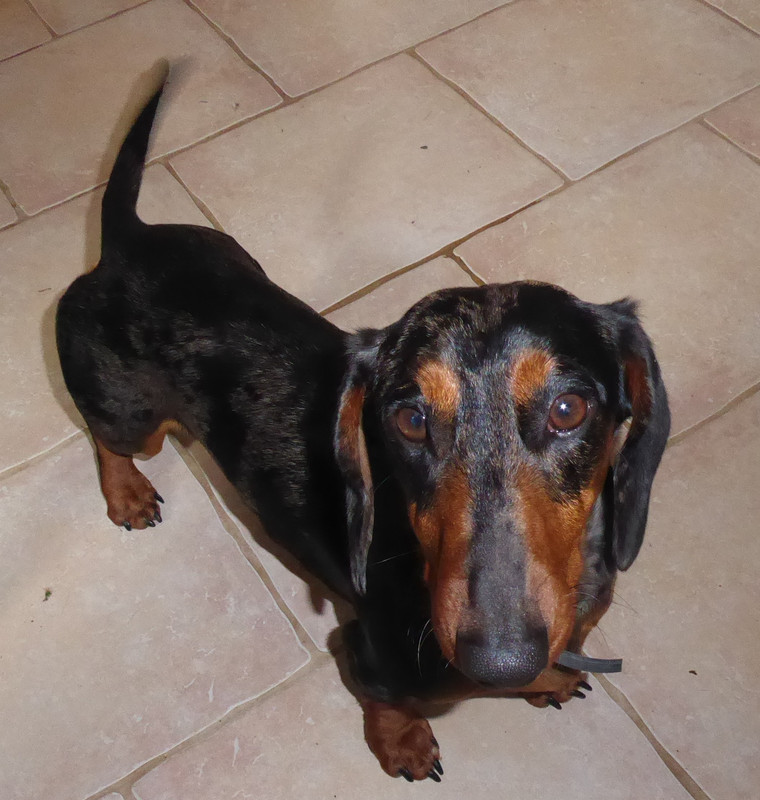 [Image: P1020693.jpg]