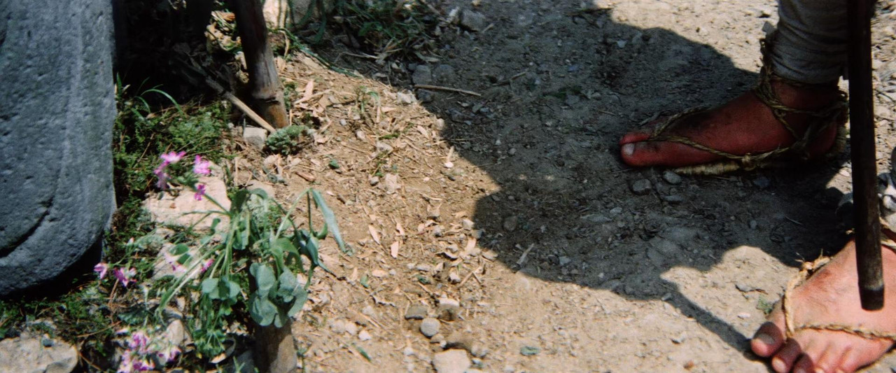 Zatoichi Goes to the Fire Festival 1970 Criterio