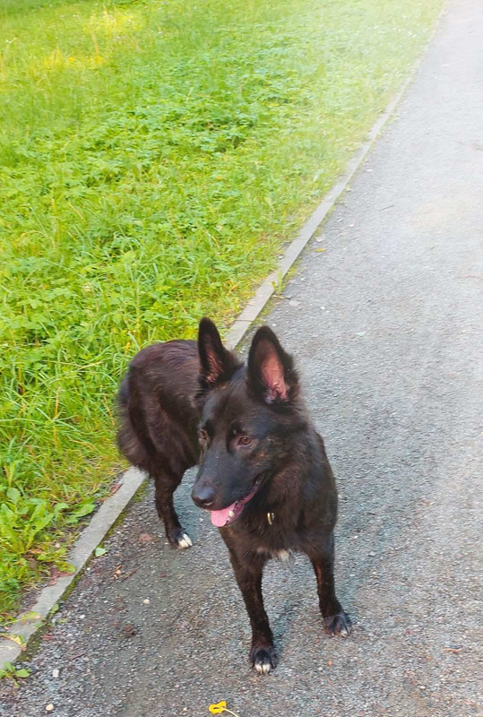 F967BBA0-C1D7-4E8A-886D-B35590598A90