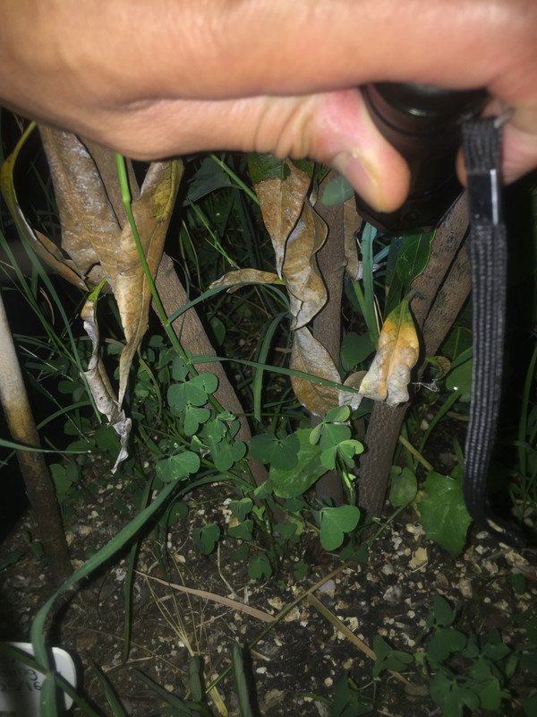 5A3F6CB9-8DD2-4D21-8BD3-95F1CF54FBC6