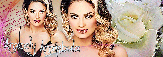 https://i.postimg.cc/tT6MhrrB/Aracely-Arambula-3.gif