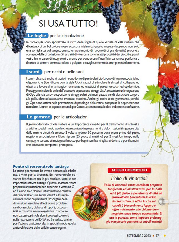 Sal Nat  Set 2023 (4)