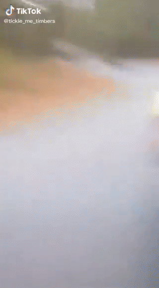 https://i.postimg.cc/tT6kMBWx/ezgif-7-c2d8f1ba5b79.gif