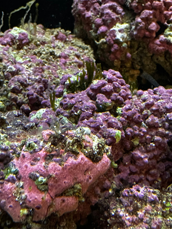 WhatsApp Image 2025-01-13 at 17.09.53(1)