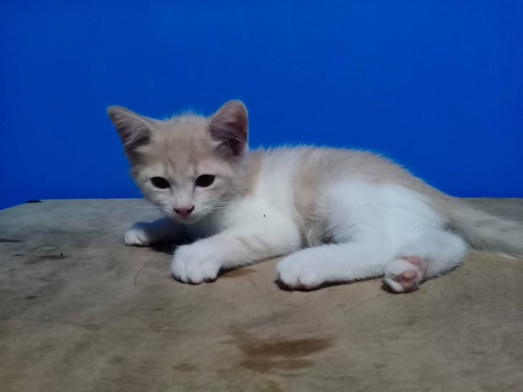 0272C670-A96C-457A-B918-69C3BA561E15