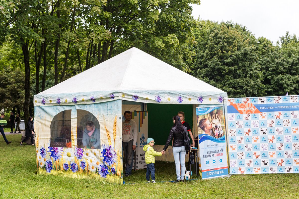 2E0E3FED-8A6A-4153-BF1E-941664DDB44F