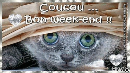 10-coucou-bon-week-end
