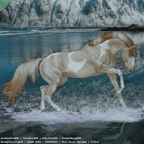 Horse-Avi-2.png